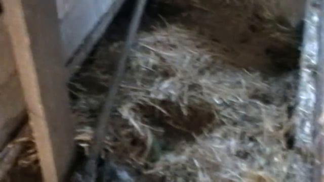 НА ЧТО ПОХОЖЕ ВЕРМИЛОЖЕ БЕЗ ШИРИНКИ НА МОЛНИИ смотреть онлайн