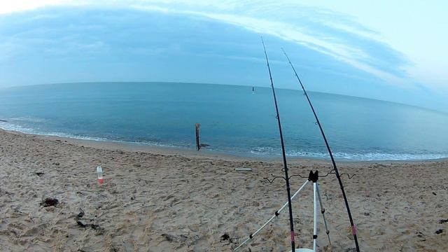 Пеленгас на рассвете. Крючки на пеленгаса для будущего эксперимента. смотреть онлайн