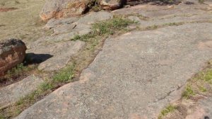 Тапхар. Бурятия. Плато под названием "Космодром". 2019 год