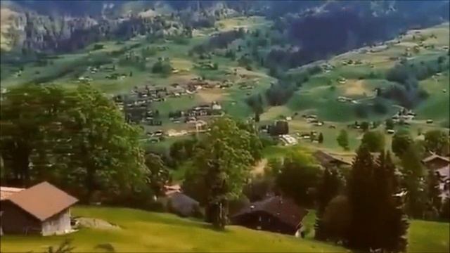 МЫ СЛОВА НАЙДЁМ ТАКИЕ НЕЖНЫЕ, ЧТО ЗАВИДОВАТЬ НАЧНУТ КРАСАВИЦЫ