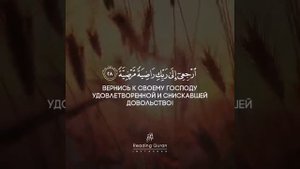 Сура 89 «Рассвет», аяты 27-30. Чтец: Ахмед Риджаль. Коран