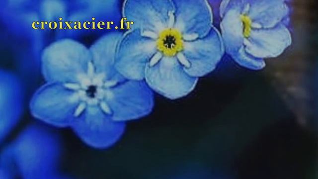 /COMMENT NE PAS CROIRE EN DIEU, AYANT VU CETTE VIDEO ... LE SOLEIL CLIGNOTE ... CATHOLIQUE смотреть онлайн