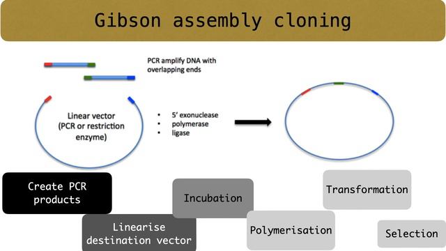 Methods of gene cloning | Using restriction enzymes | Not using restriction enzyme | Lecture class смотреть онлайн