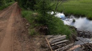 По лесной дороге от Заозерья и обратно.