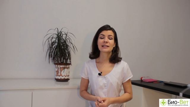Как Отучить Кошку Гадить ? // Сеть Ветклиник Био-Вет