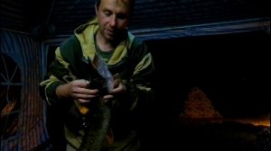 Волжские заливы.Каменка Разнежье.Рыбалка на спиннинг.