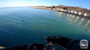 Shimano Sephia XR  C3000SHG и вся серия XR. Стоит покупать?