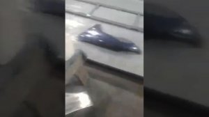 пежо 206 ремонт крыла