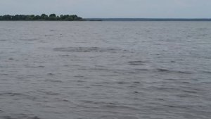 VLOG Едем купаться на речку