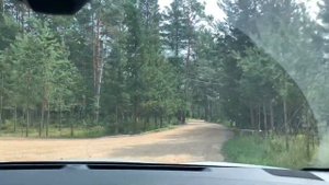 Треш отдых на базе отдыха «Чайка» озеро Волго в Тверской области.