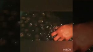 Наш супер рецепт варенья из грецкого ореха.