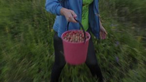 Устраняем дребезг полки Приоры хэтчбек САМОЕ БЮДЖЕТНОЕ РЕШЕНИЕ (собираем землянику)