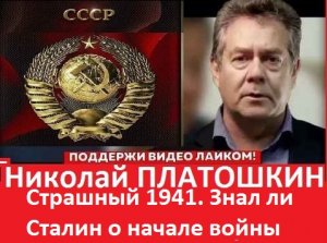 Страшный 1941 Знал ли Сталин о начале войны #актуальнаятема #общественнаядеятельность#platoshkin
