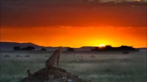 Омар Хайям -  Рубаи