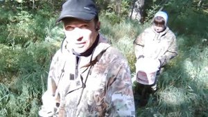 Клюква. Полезная болотная ягода