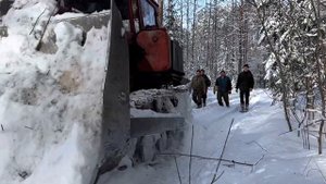 ЗАГОТОВКА ЛЕСА 2023! МТЗ 82 & ДТ 75