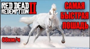 РДР2 АРАБСКАЯ ЛОШАДЬ. Самая быстрая лошадь в RDR2.
