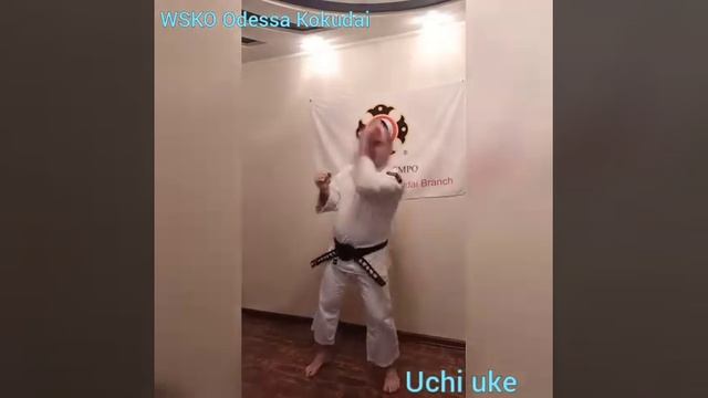Kihon с разъяснениям на русском языке