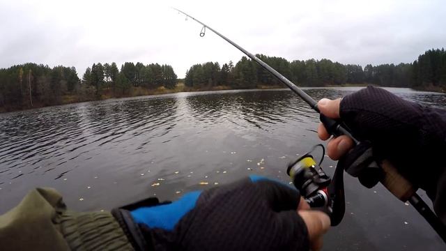 Ловля окуня осенью. Микроджиг на пруду смотреть онлайн