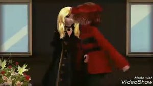 Розы,Ромашки, Хризантемы,Лилии.