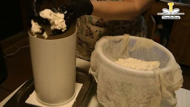 Горгонзола - сыр с голубой плесенью своими руками