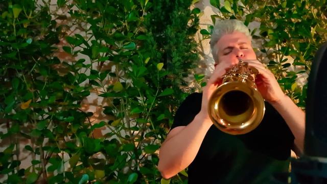 DEIXA EU AQUI - FÁBIO COSTA VERSÃO INSTRUMENTAL (SAX COVER) смотреть онлайн