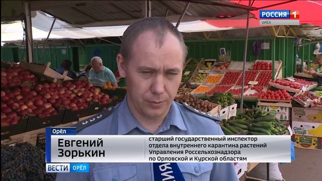 Сайт россельхознадзора по орловской и курской. Овощи на рынке. Россельхознадзор Орел. Что на рынке продают сейчас из овощей и фруктов. Сбыт продукции Дагестана.