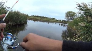 Рыбалка на ультралайт 2020 насадка слаги, попал на жор окуня