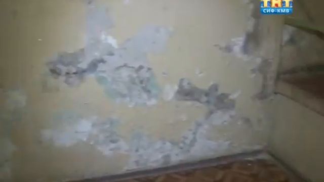 Первенство СКФО по боксу среди юношей 15-16 лет (1 марта 2016) смотреть онлайн