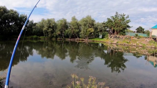 Угрюмка. Рыбалка в Новосибирске на сазана (невышедшее)