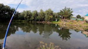 Угрюмка. Рыбалка в Новосибирске на сазана (невышедшее)