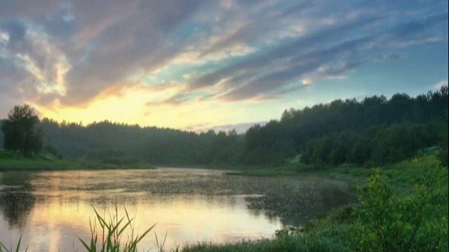 НОЧКА ЛУГОВАЯ (Сенокосная пора) исп. Наталия Муравьева Песни 60 г. Застольные песни Цветы полевые