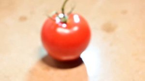 Fish Candy Bestellung DAIICHISEIKO MC Knife 55 und MC Scissors 25 Barsche angeln