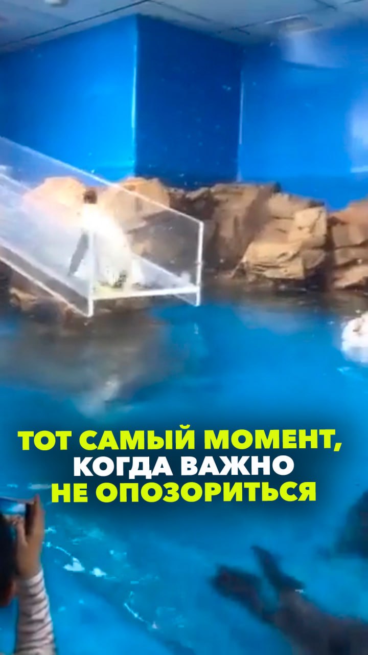 У всех был такой момент, когда в решающий момент подводят нервы — особенно, когда ты на виду