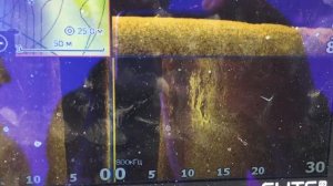 Обзор Lowrance Elite FS 9 с воды. Затопленные корабли, лодки, коряги, деревья. Часть 2.