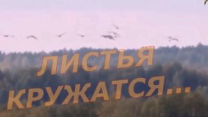 Андрей Картавцев - Листья кружатся!