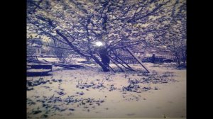 Мин ышанам әле таңнарга