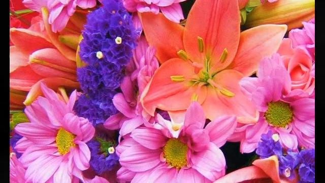 мои сыночки смотреть онлайн