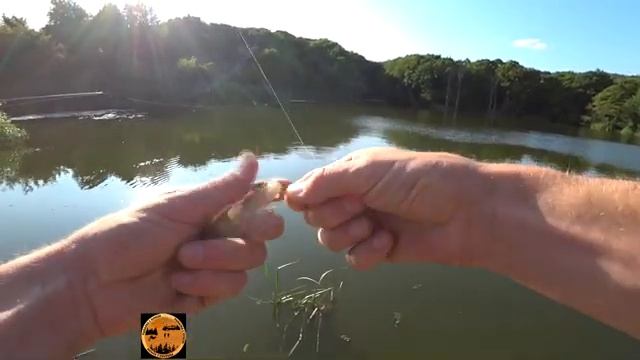 Рыбалка на маленьком пруду,мелкий окунь клевал почти на каждом забросе! смотреть онлайн