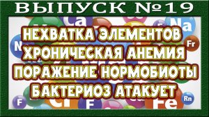 Эссенциальные микроэлементы. Дефицит. Мясо даст или отнимет? Функциональность по депонированию.