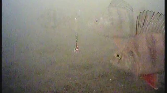 Подводная камера своими руками. смотреть онлайн