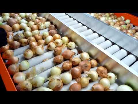 Стол инспекционный/сортировочный роликовый [СР-3010/3014/4510/4514]