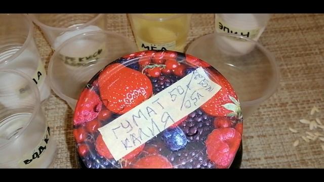 ☝????КАК БЫСТРО ПРОРАСТИТЬ СЕМЕНА? КАКОЙ РАСТВОР лучше? ЭКСПЕРИМЕНТ