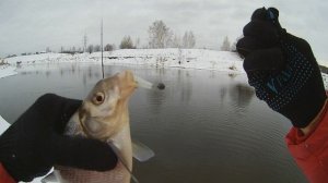 Засечка в рот. Когда кажется что рыба (в данном случае некрупный лещ) клюнула схватив приманку ртом