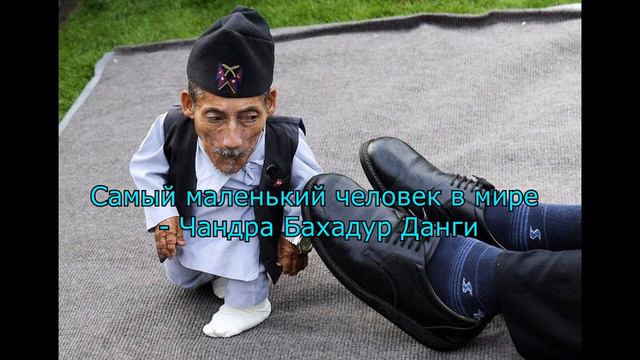 Самый маленький человек в мире смотреть онлайн