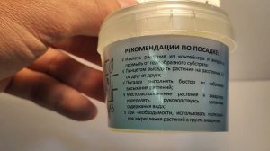 Живое аквариумное растение Перистолистник красный меристемное