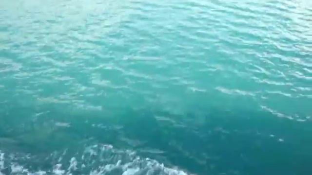 СУПЕР ОТДЫХ В ГРЕЦИИ. смотреть онлайн