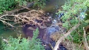 Сброс отходов в реку Сеха г.Шуя