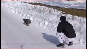 Олег Саитов Золотой мальчик российского бокса