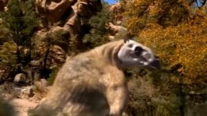 Харикотерий ( Прогулки с чудовищами )